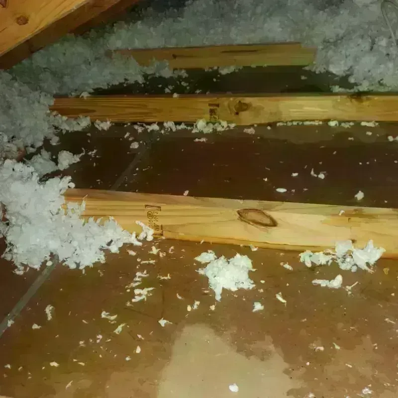 Attic Water Damage in Spanaway, WA